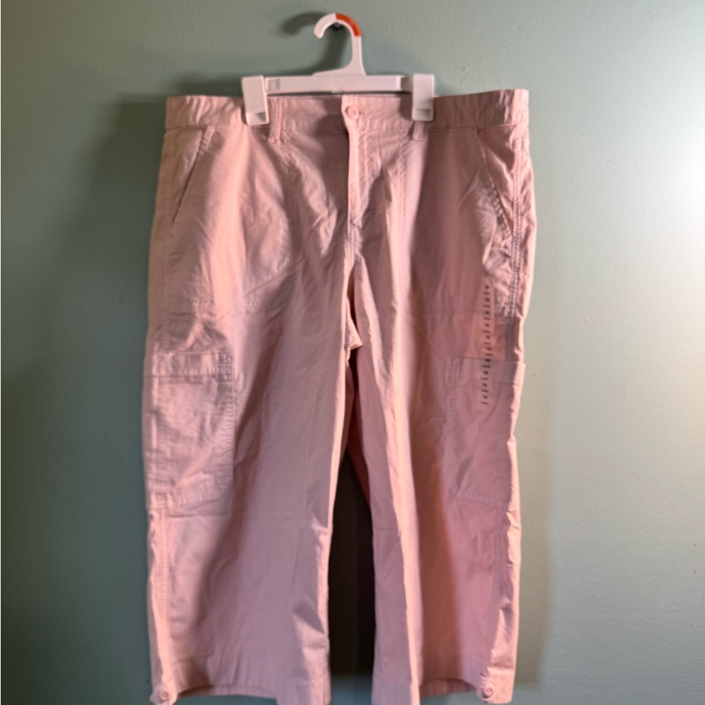 American Eagle Outfitters Pink Capris